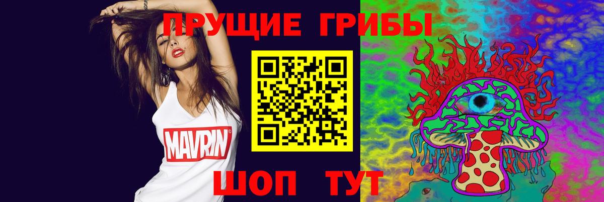 Галлюциногенные грибы Psilocybine cubensis Краснодар