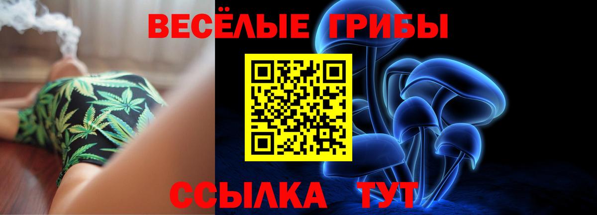 Краснодар  где найти   Галлюциногенные грибы Psilocybe  Вход с VPN  Галлюциногенные грибы MAGIC MUSHROOMS 